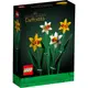 LEGO 樂高 40646 Daffodils