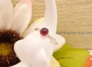 NEW Pandora Sterling Silver JANUARY DROPLET Synthetic Garnet Ring 56 7.5 191012G