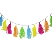 Pink, Orange, Green, Yellow & Blue Paper Tassel Garland