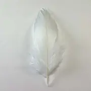 Goose Nagoire Feathers 10 grams - White