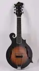Hand Carved F Style Mandolin, 6 String, Solid Spruce Top, Maple Plywood Body