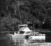 Anglers Are Ferried Out Fishing In Pinas Bay In Panama 1960 Old Fishing Photo