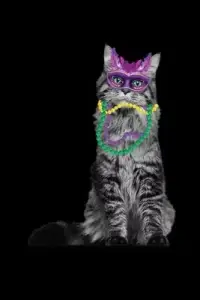 在飛比找博客來優惠-Cute Cat Mardi Gras Mask: Mard
