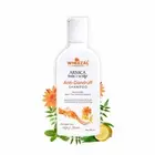Wheezal Arnica Hair N Scalp Treatment Shampoo 200ml