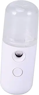 FRCOLOR Mini Facial Steamer Nano Mist Skin Care Sprayer Portable Face Sprayer for Moisture Rechargeable