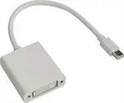Astrotek 20 Pins Mini DisplayPort DP to DVI Cable, White, 20 cm