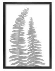 [Profile Australia] Australian Made Watercolour Fern Leaves Black Art Print A2 in Black Frame No Border