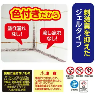 日本製 LEC 激落君 新款 30天無黴 浴室除黴 除黴凝膠 100g