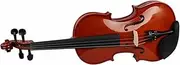 Axiom Prelude Full Size Violin Outfit