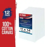 US Art Supply 11" X 14" Professional Artist Quality Acid Canvas Panels 12