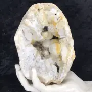6" Large Geode Natural Smoky Quartz Crystal Cluster on Chalcedony Kentucky 3.7Lb