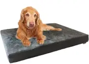Orthopedic Dog Bed with Memory Foam for Medium Large Pet, Waterproof Liner, W...