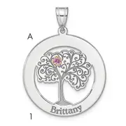Sterling Silver Silver/Rhod-Plated 1 Birthstone With 14K Bezel Family Pendant
