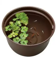 Gex Medaka bowl pot 12.6in Resin Brown Storm drainage Japan killifish Rice fish