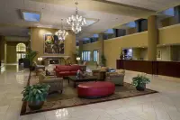 在飛比找雄獅旅遊優惠-沙加緬度雅頓西部希爾頓飯店