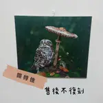 獨家手繪油畫 售後不復刻 貓頭鷹 下雨 藝術 手繪 藝術品 居家 擺件 擺設 品味 油畫