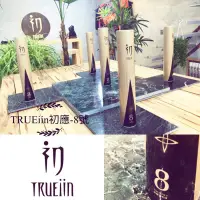 在飛比找蝦皮購物優惠-[TRUEiin初應8號] 羽毛球。嚴選鴨毛