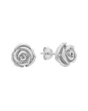 MaxColor Silver Studs