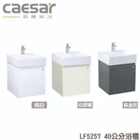 在飛比找蝦皮購物優惠-『洗樂適台南義林店』凱撒衛浴CAESAR 40公分一體瓷盆浴