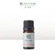 【JustHerb香草集】奧圖玫瑰3ml(單方精油)