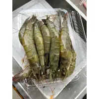 在飛比找蝦皮購物優惠-［阿炑海產］🔥台灣文蛤池海水生態養殖白蝦出爐了，一斤約20尾