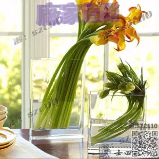 【免運】創意花瓶玻璃水培花盆透明長方形扁缸扁形魚缸簡約臺面鮮花花器