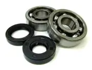 Crank Bearing Seals Bearings Seal Kit Gilera GSM50 GSM RCR50 RCR SMT50 SMT 50