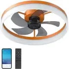 20" Silent Operation Ceiling Fans with Lights and Remote