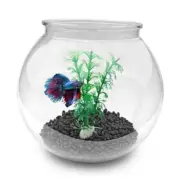 Mini Plastic Aquarium Fish Bowls (0.8Gallon / 3L)