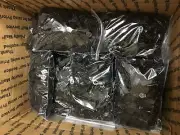 #5 Black Zipper Slides, , Sell by 2000 pcs.SOLD AT NY, NJ AND PA. UPC901304