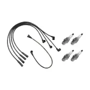 4 x NGK Spark Plugs + Bosch Ignition Leads for Mitsubishi Express Starwagon SF