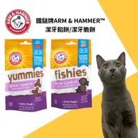 在飛比找蝦皮購物優惠-★寵喵樂園-鐵鎚牌ARM & HAMMER™潔牙餅