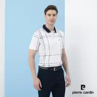 在飛比找momo購物網優惠-【pierre cardin 皮爾卡登】商務休閒 男款 網眼