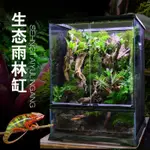 ●雨淋箱●雨林缸雨淋缸生態造景缸熱帶雨林植物蜥蜴爬寵爬蟲守宮飼養箱 雨林飼養箱