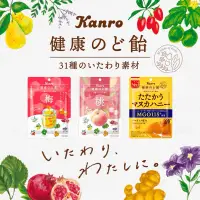 在飛比找蝦皮購物優惠-| 現貨+預購 | 日本 Kanro 甘樂 健康的喉糖 潤喉