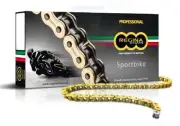 Chain REGINA 137ZRP Benelli TRK 502 500 2017 2022