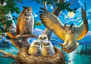 Castorland - Owl Family Puzzle 500pc