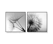 60cmx60cm Black and white dandelion 2 Sets Black Frame Canvas Wall Art
