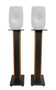 Rockville 36” Studio Monitor Speaker Stands For Genelec 8351A Monitors