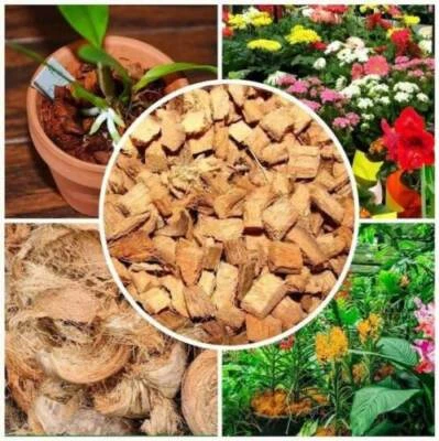 Coconut Husk Dry Chips Fiber Coco Coir Organic Orchids Anthodium Free Shipping