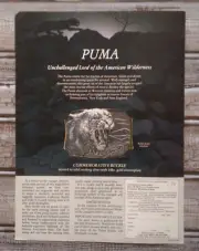 1982 Puma Mountain Lion Commemorative Belt Buckle Promo Photo Vintage Print Ad
