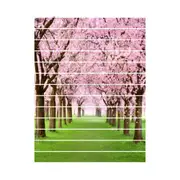 6 PCS DIY Creative Cherry Tree Beautiful Scenery Street Stairs Sticker Home Decoration, Size: 18*100cm