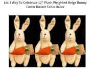 Lot 3 Way To Celebrate 12" Plush Weighted Beige Bunny Easter Basket Table Decor