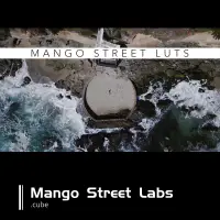 在飛比找蝦皮商城精選優惠-078 PR旅拍風景視頻調色預設3D LUT Mango S