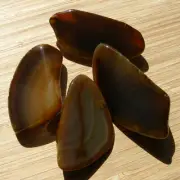 4 Agate Geode Display Slices Cut Polished Natural Stones Banded Brown Crystals