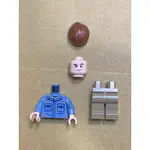 LEGO 樂高 人偶 亞倫·葛蘭特 侏羅紀世界 76961