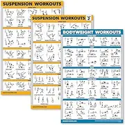 Palace Learning 3 Pack - Suspension Workout Posters - Volume 1 & 2 + Bodyweight Exercises Poster Set - Set of 3 Workout Charts