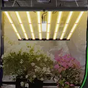 640W LED Plant Grow Light Commercial Bar Full Spectrum for Indoor Plants Medical