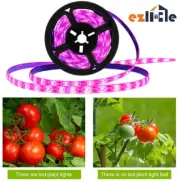 Strip UV Full Spectrum Strip USB LED Grow Light Indoor Plant Flower Growing Lamp