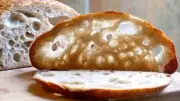 sourdough yeast THE BEAST 16 yeast in 1 starter amazing bonanza